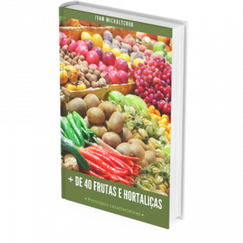 CAPA EBOOK FLV - MAIS DE 40